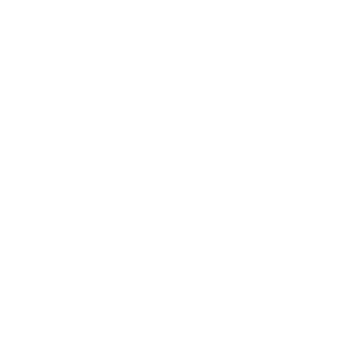 The Rainbow Captain, artist partner