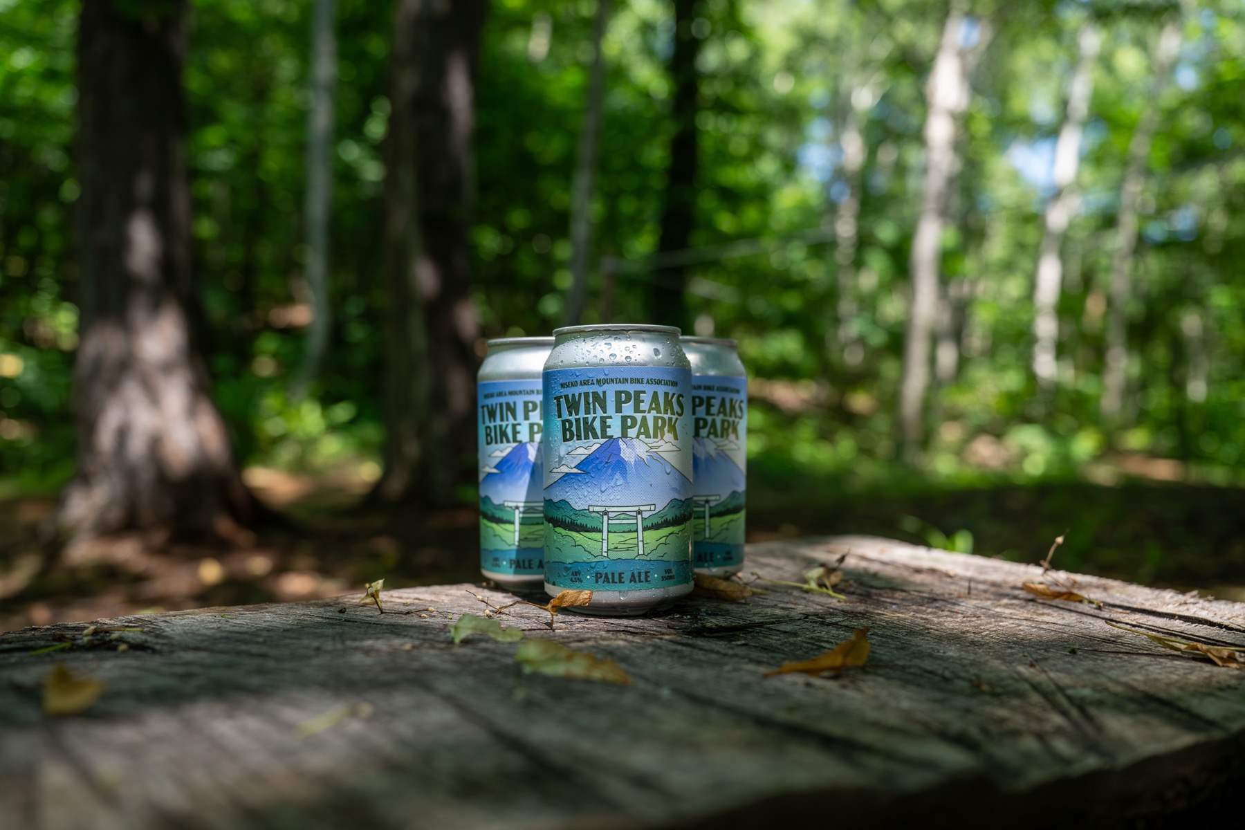Three cans of Twin Peaks Bike Park Pale Ale lined up on a sunlit log