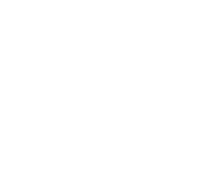 Wheelies, event partner