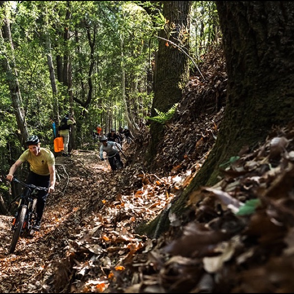 Niseko's Twin Peaks Bike Park Opens Today