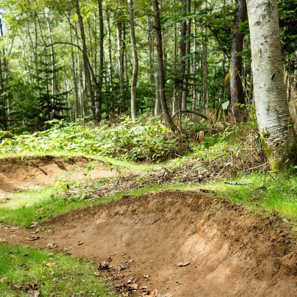 Ride Niseko's Trail Network