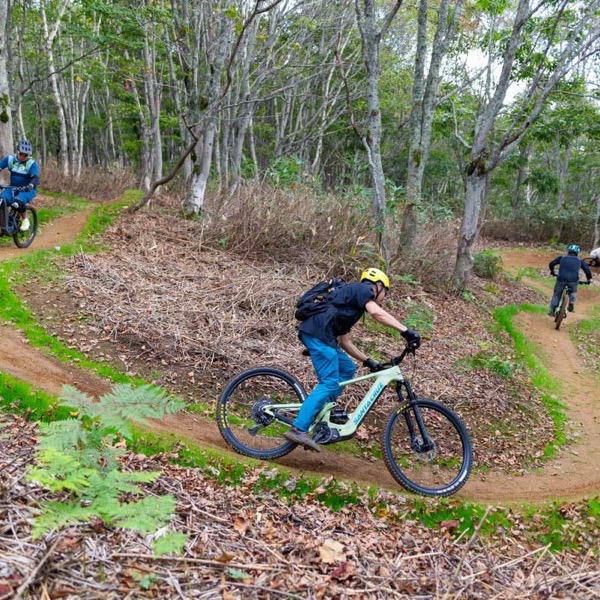 New 'Cruise Control' Trail Opens at Niseko's Twin Peaks