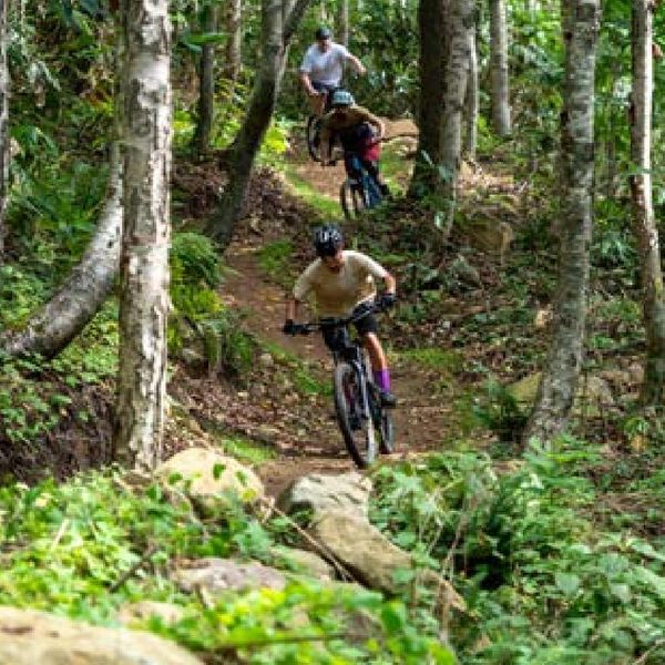Niseko's Green Season Boom, Built on New MTB Trails