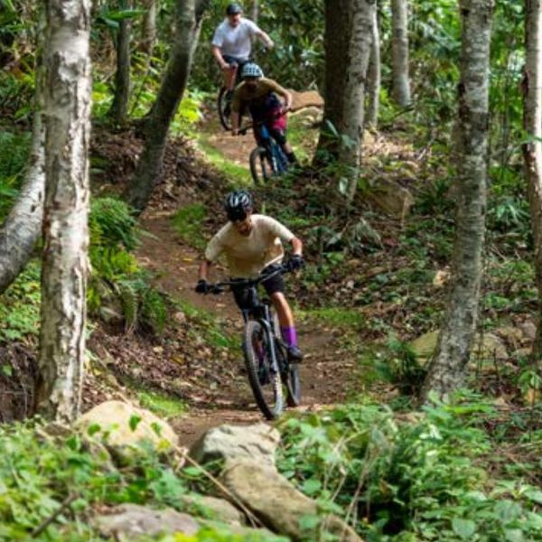 Mountain Biking: Niseko's Green-Season Future