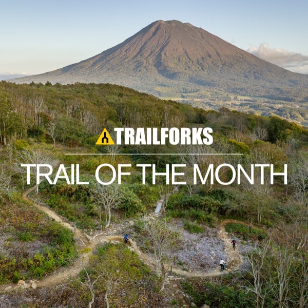 Trail of the Month: Cruise Control in Niseko, Japan
