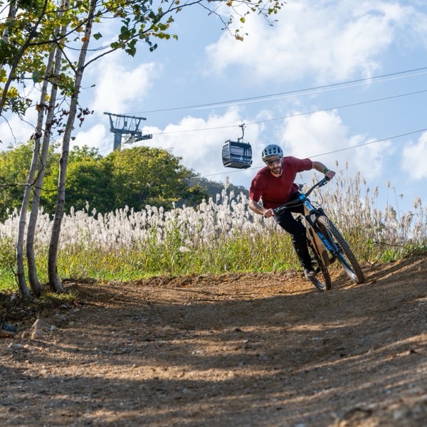 Hokkaido's Largest MTB Trail Network Opens in Niseko's Powder Mecca
