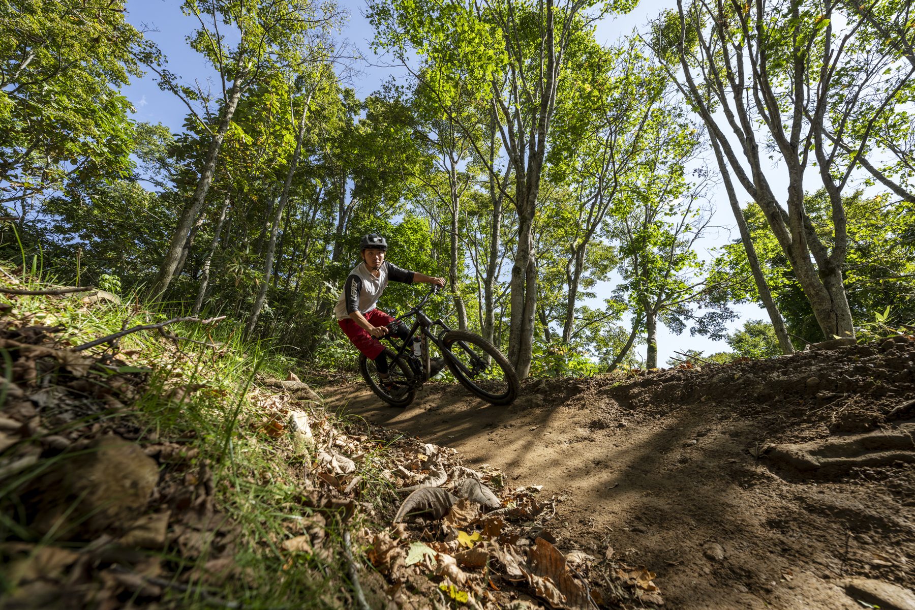 Mountain biker riding a sun-dappled flow trail through Niseko's birch forest at Twin Peaks Bike Park