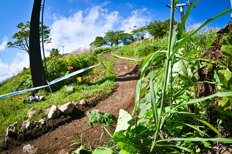 The raw, natural-line Annupuri downhill course climbing a ridge, lined with blue race tape