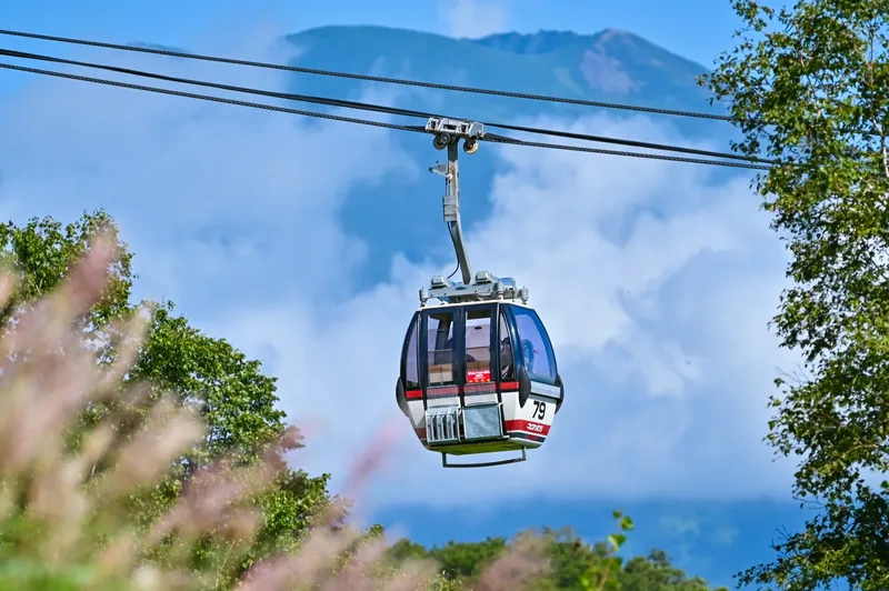An Annupuri gondola cabin floats in front of Mount Yotei with foliage framing the shot