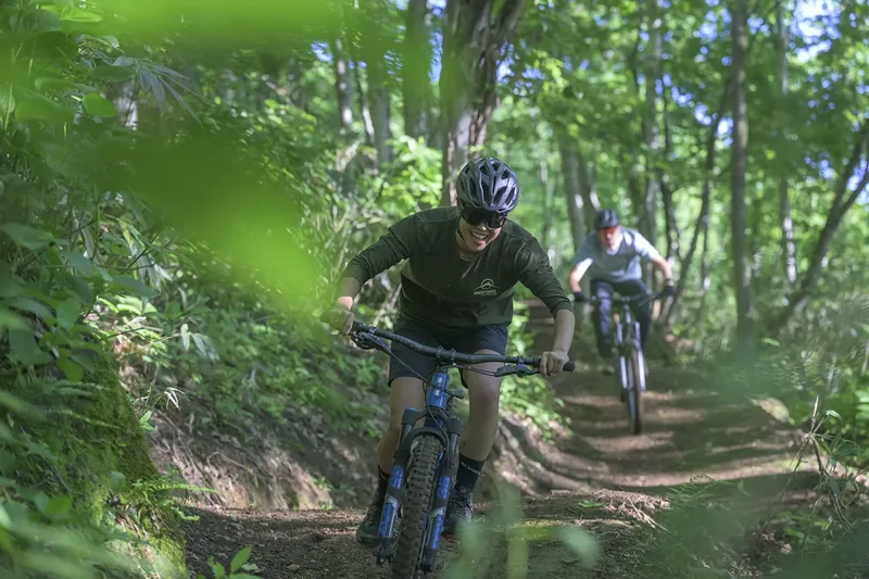 Two riders flowing through green forest singletrack at Grand Hirafu