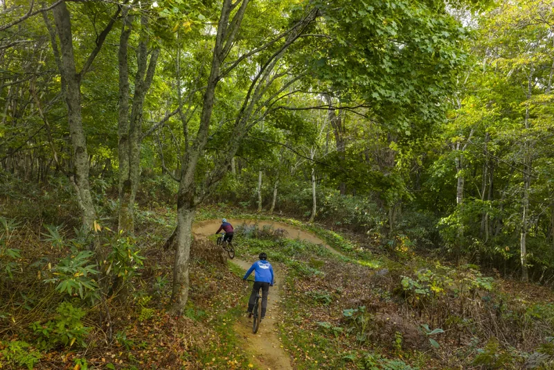Riders descending a Twin Peaks trail through autumn forest