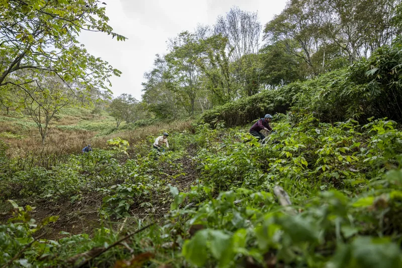 NAMBA volunteers hand-building trail at Twin Peaks