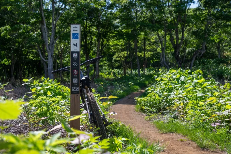 NAMBA trail signage at Twin Peaks